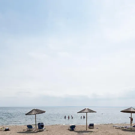 Alkinoos גראקיני