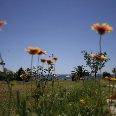 מלון Alkinoos גראקיני