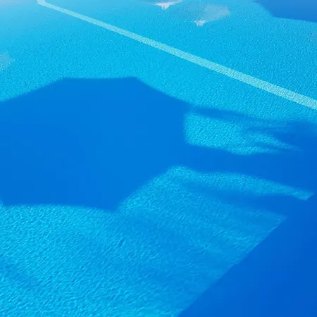 Alkinoos גראקיני