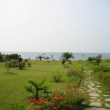 Alkinoos גראקיני