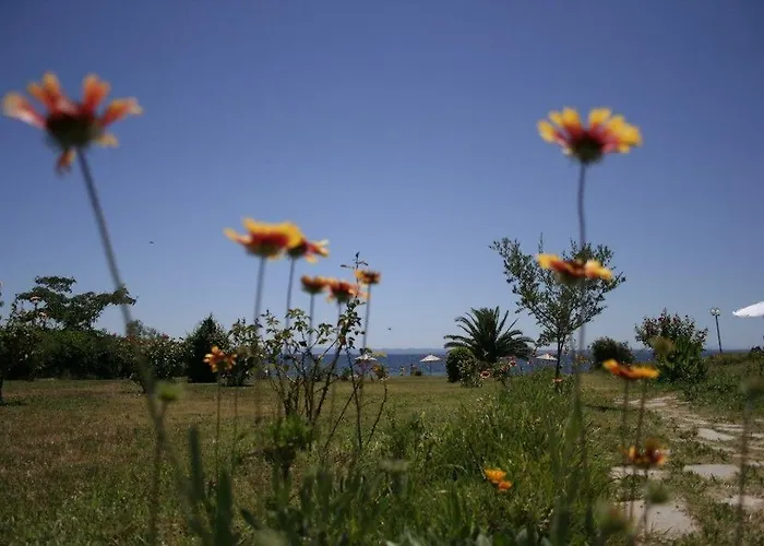 Hotel Alkinoos Gerakini